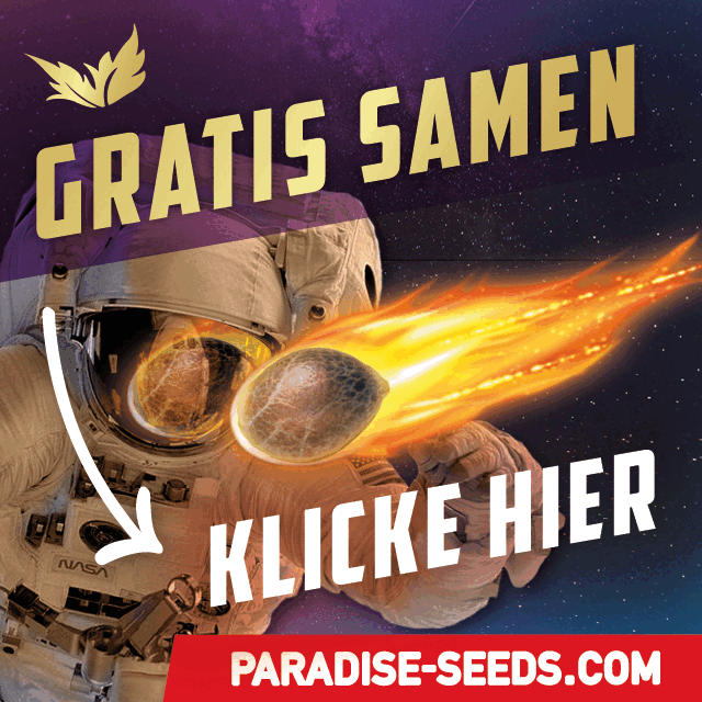 Paradise Seeds 2023